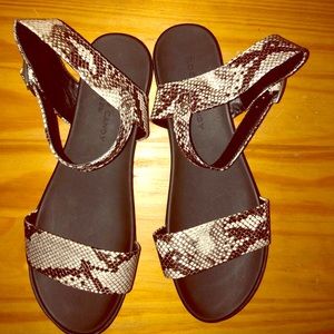 Brand New Rock & Candy Snake Skin Sandals